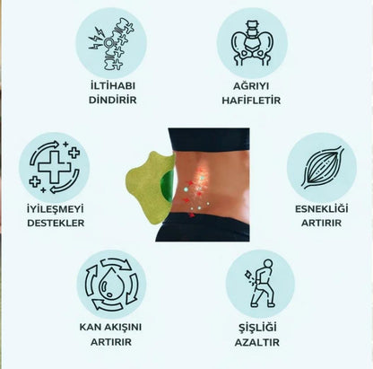 Health Sırt, Omuz, Bel, Boyun, Fıtık Için Bitkisel Isıtmalı Yakı Bandı  (5 Adet)